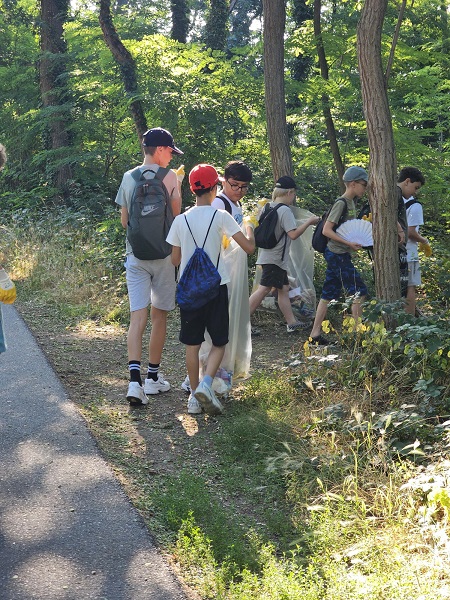 sauberhafter schulweg wald